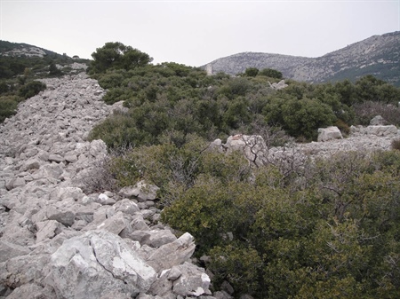 Fortress of Lipsidrio, site Korakofoleza, Parhitha, Municipality of Acharnes