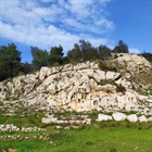Ιερό Αφροδίτης Δαφνίου, Δήμος Χαϊδαρίου