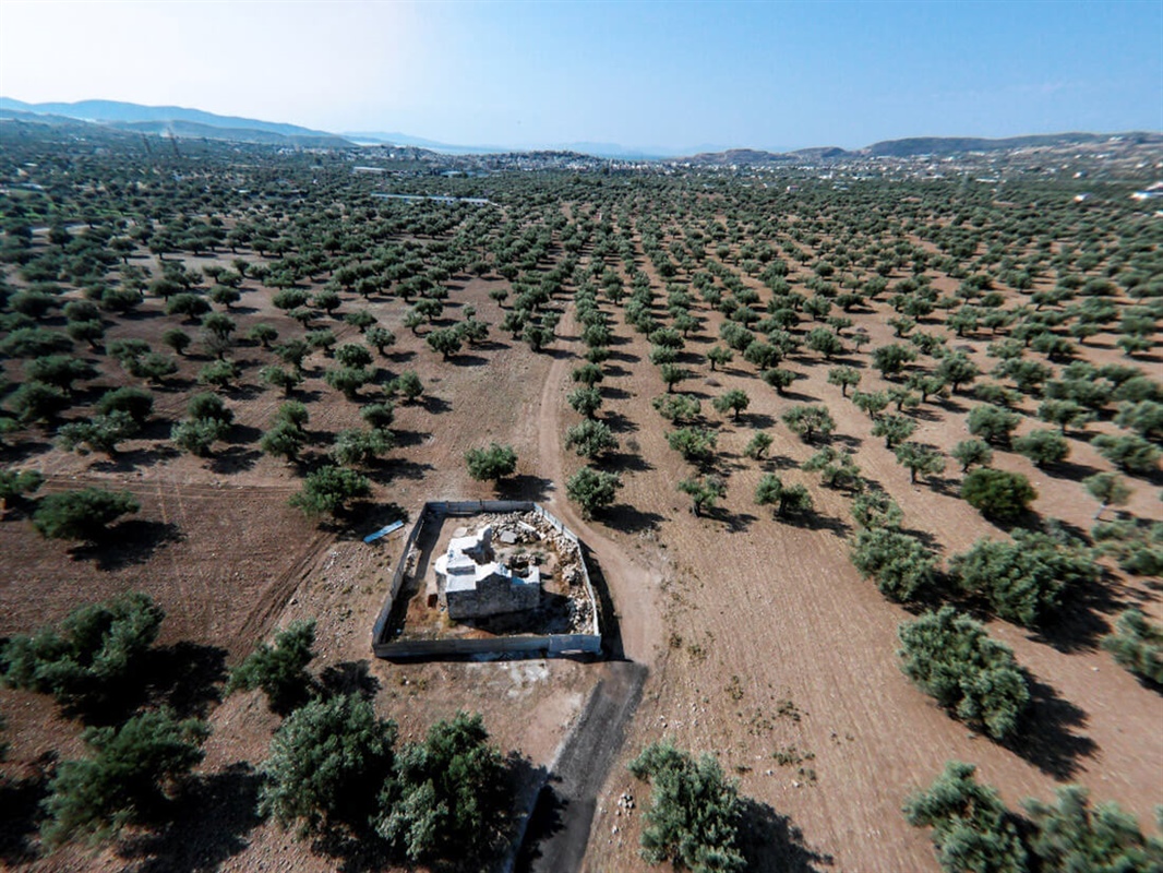 Ελαιώνας, Δήμος Μεγαρέων