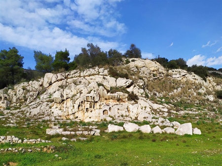 Ιερό Αφροδίτης Δαφνίου, Δήμος Χαϊδαρίου